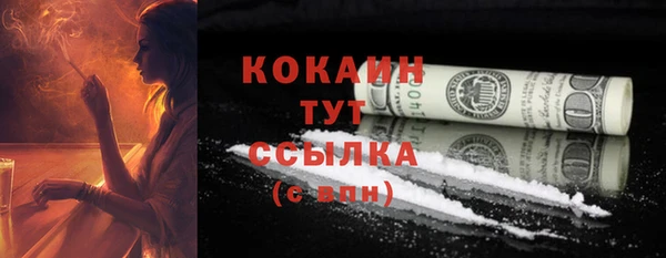 PSILOCYBIN Вязники