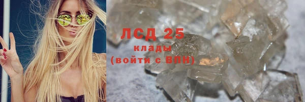 PSILOCYBIN Вязники
