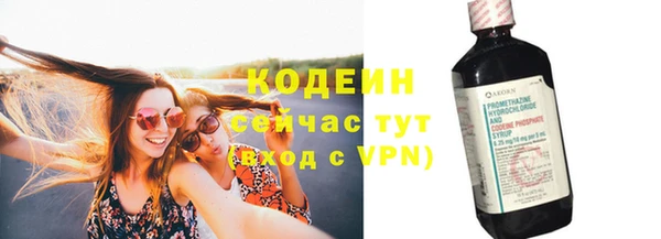 мяу мяу кристалл Вяземский
