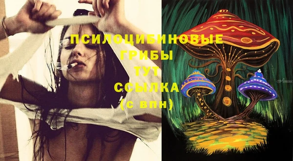 дмт Вязьма
