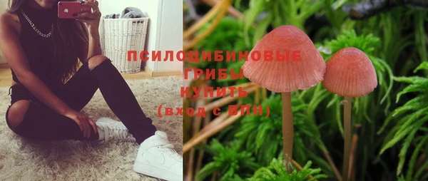 мяу мяу кристалл Вяземский