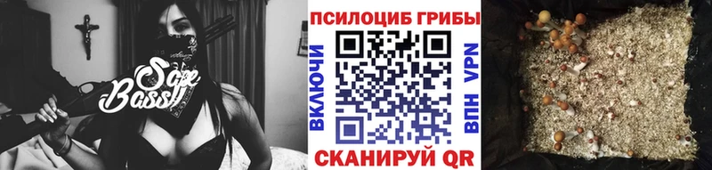 Галлюциногенные грибы Psilocybe  цена   Саранск 