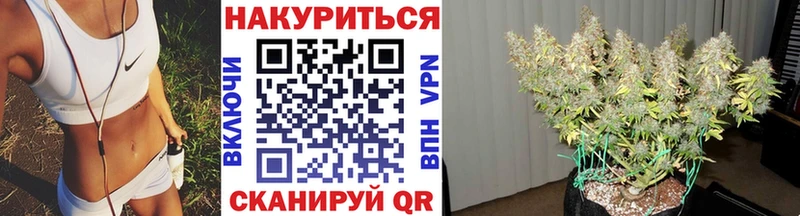 Бошки марихуана сатива  Саранск 
